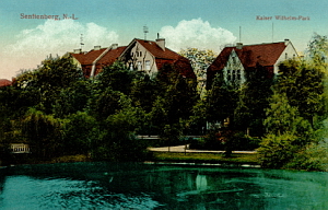 Senftenberg